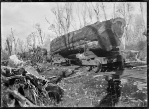 Horse-drawn rail timber wagon hauling a log to the mill at Horopito
