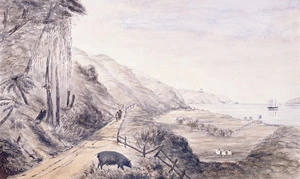 Pearse, John, 1808-1882 :Lowry Bay. Mrs Jackson's section. The 'Heads' of Port Nicholson in the distance. [Between 1852 and 1856]