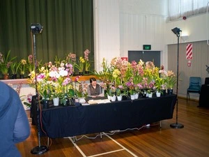 Flower show, Lower Hutt, November 2013