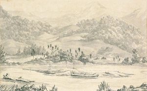 Artist unknown :Near Douglas' Motueka, 1864.