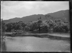 A punt, transporting a horse, being winched across the Waipa River, in 1917.