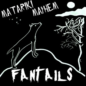 Matariki mayhem / Fantails.