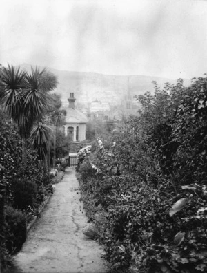 View of pathway leading to St Ruadhan, house belonging to Sir Robert Donald Douglas MacLean on The Terrace, Wellington