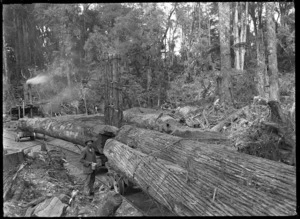 Hauling logs on railway wagons, on the way to Ellis & Burnand's sawmill at Mangapehi.