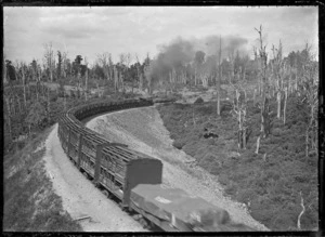 Goods train ascending the Raurimu Spiral, on the North Island Main Trunk Line