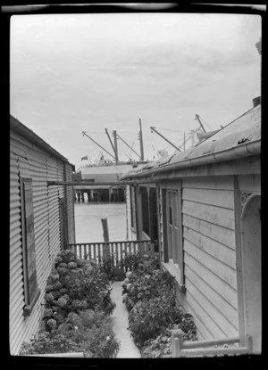 Morris Store Garden, Opua, Far North District, Northland Region