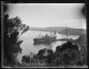 New Zealand Shipping Company's Hinakura in the early morning, Opua, Bay of Islands, Northland