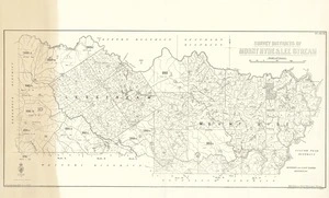 Survey districts of Mount Hyde & Lee Stream [electronic resource].