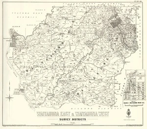 Waitahuna East & Waitahuna West survey districts [electronic resource] / drawn by S.A. Park, May 1923.