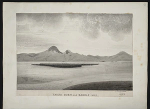 [Buchanan, John] 1819-1898 :Taieri bush and Saddle Hill. 1856