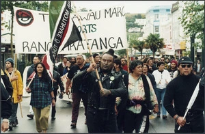 Protesters Marching down Victoria Avenue, Wanganui - Photograph taken by Phil Reid