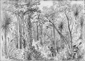 Swainson, William, 1789-1855 :[Clearing bush, ca 1845]
