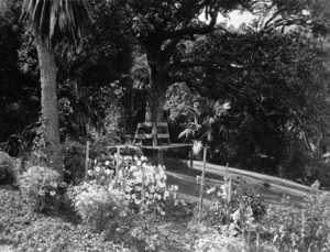 View of part of garden at St Ruadhan, house belonging to Sir Robert Donald Douglas MacLean on The Terrace, Wellington