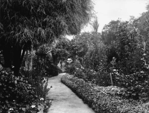 View of part of the garden at St Ruadhan, house belonging to Sir Robert Donald Douglas MacLean on The Terrace, Wellington