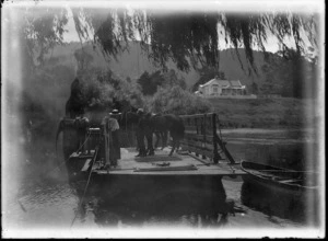 A punt laden with people and horses being winched across the Waipa River, in 1917.