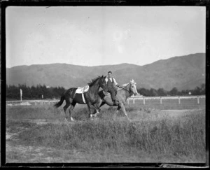 Racehorse Phar Lap being exercised at Hugh Telford's stables, Trentham, Upper Hutt