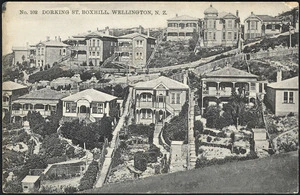 Houses and gardens in Dorking Road, Brooklyn, Wellington