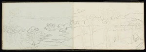 [Cookson, Janetta Maria] 1812-1867 :Kauri forest. Manaukau Heads. August 1861.