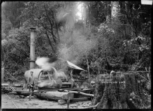 Steam log hauler, kauri forest, main trunk line, North Island