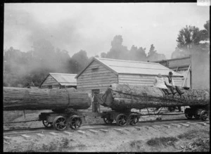 Logs on railway bogies