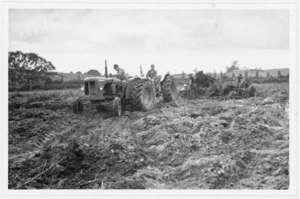 Men removing tree stumps using tractors