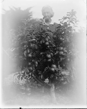 An older woman (possibly Laura Godber) partially obscured behind an apple tree