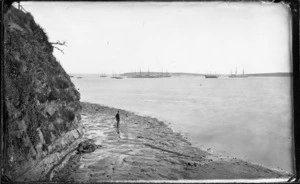 Auckland Harbour from St Barnabas Point