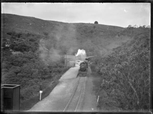 Train pulled by a steam locomotive passing Mihiwaka Railway Station.