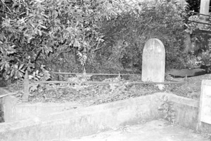 Grave of Louisa Mary Treacher, plot 5308, Bolton Street Cemetery