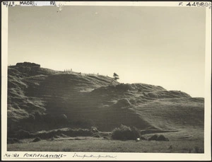 McDonald, Hector Alfred Farmer William, 1901-1960 :Photograph of a former site of Ihupuku Pa, Waitotara, South Taranaki