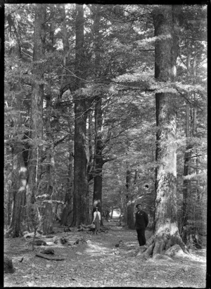 Albert Percy Godber and his daughter Phyllis among a stand of trees.