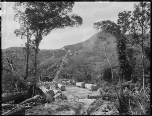 Logs being prepared for transport by bush railway, Northland