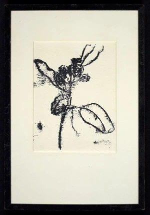 Paul, Janet Elaine, 1919-2004 :[Flower. 1978].