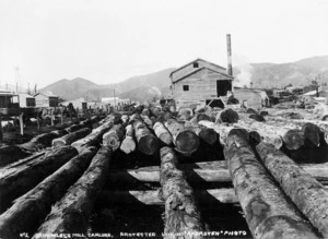 Logs at Brownlee's Mill, Carluke