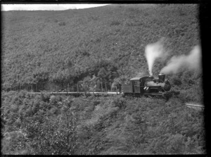 Taupo Totara Timber number 9 steam locomotive, on the Taupo Totara Timber railway, Waikato region