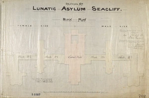Lawson, Robert Arthur, 1833-1902 :Lunatic Asylum, Seacliff. Block plan. Drawing no. 7. 1881.