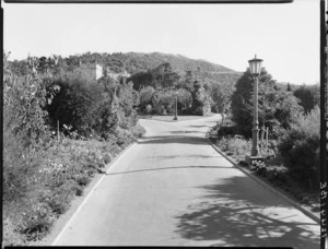 Driveway, from near front entrance, Homewood, Karori, Wellington