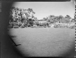 Large lawn, Homewood, Karori, Wellington