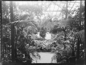 Conservatory interior, Homewood, Karori, Wellington