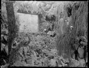 Room full of plants [the conservatory?], Homewood, Karori, Wellington