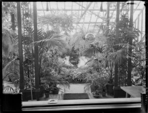 Conservatory interior at Homewood, Karori, Wellington