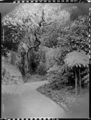Garden path at Homewood, Karori, Wellington