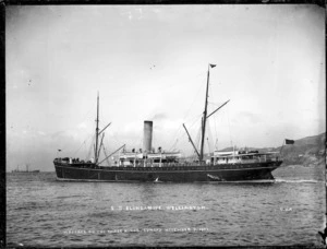 Ship Elingamite, Wellington