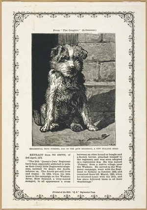 I S N :Regimental pets; Pokeno, dog of the 50th Regiment, a New Zealand hero. [London?] Printed at the 50th "Q.O" Regimental Press, [1875?]