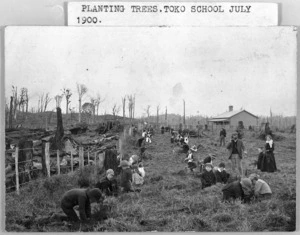 Children planting trees at Toko School, Taranaki