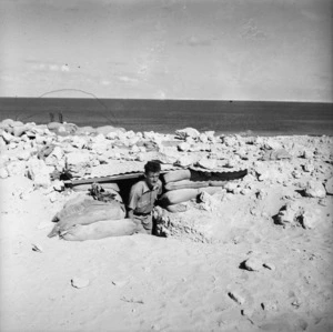 2nd NZEF soldier emerging from a dug-out, Baggush, Egypt