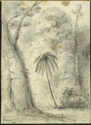 Swainson, William, 1789-1855 :[Bush clearing, Hutt Forest?] 1848