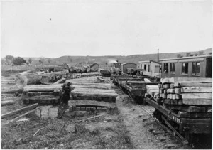 Timber waiting to be loaded at Maropiu, 1912