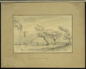 Swainson, William 1789-1855 :E Puni's Pah on the Petoni Flat, 1847.