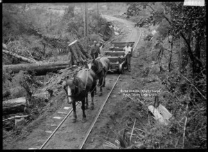 Men with an empty wagon on a bush railway track